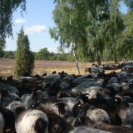 Apartman Heideidylle