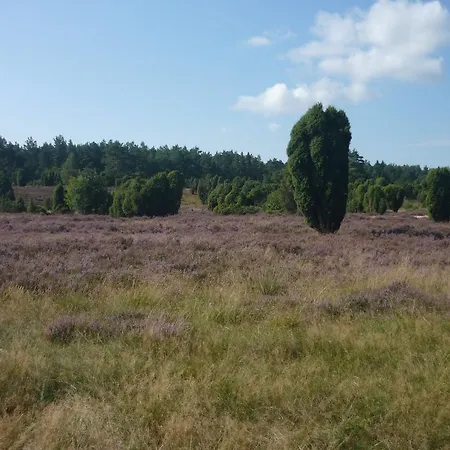 Heideidylle * Amelinghausen