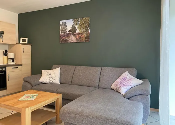 公寓 Heideidylle 阿默灵豪森