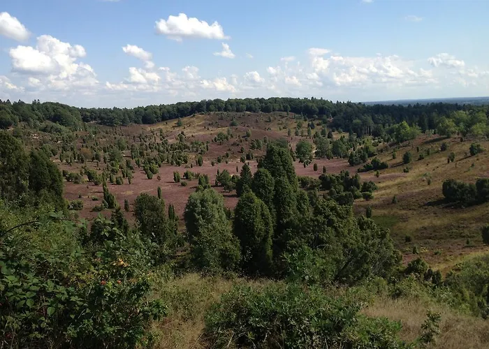 公寓 Heideidylle 阿默灵豪森