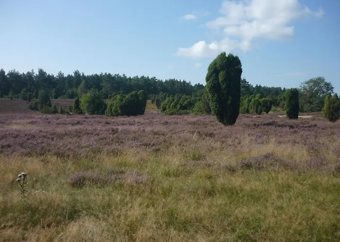 Heideidylle * 阿默灵豪森